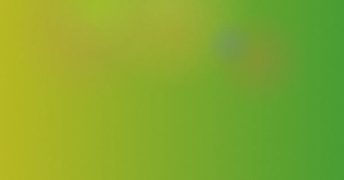 salsa推荐：新手这样选